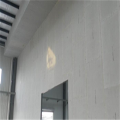 怎样新型建筑材料掺多种工业废渣的ALC|ACC|FPS模块板材轻质隔墙板